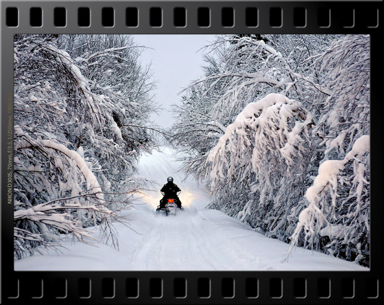 snow  lapland  skidoo snowmobile